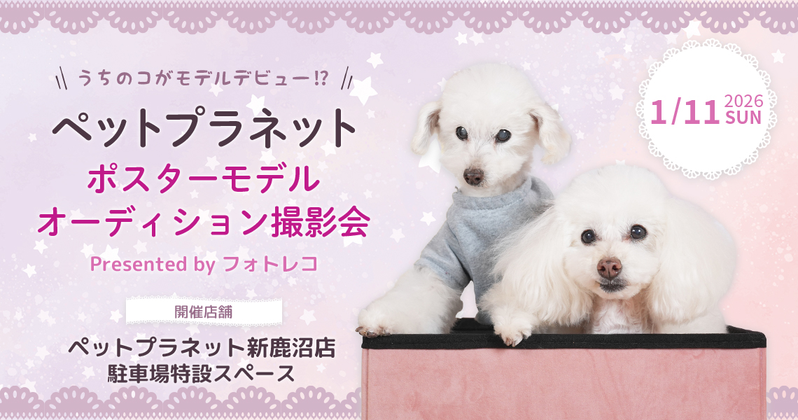ペットプラネット ポスターモデルオーディション撮影会