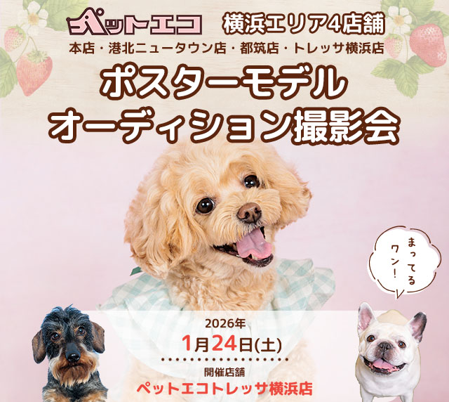 ペットエコ ポスターモデルオーディション撮影会