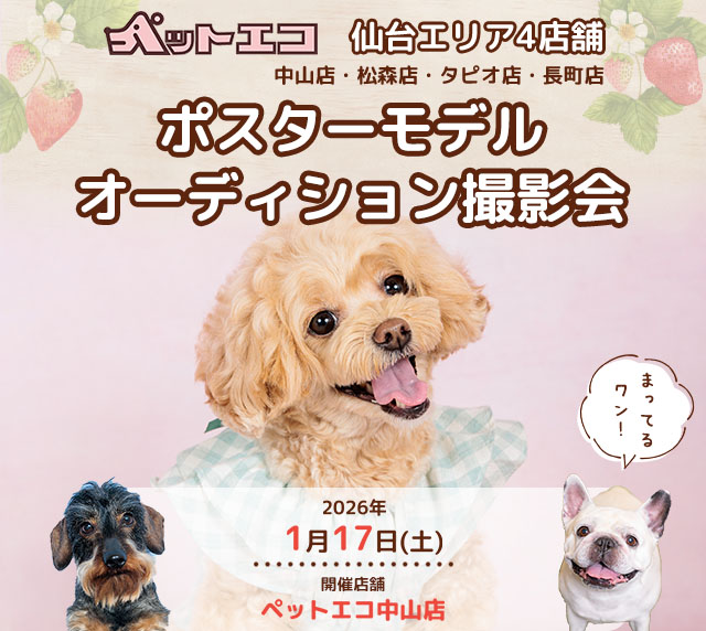 ペットエコ ポスターモデルオーディション撮影会