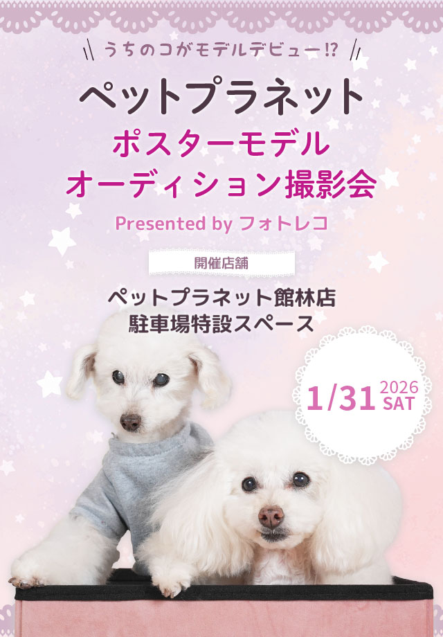 ペットプラネット ポスターモデルオーディション撮影会