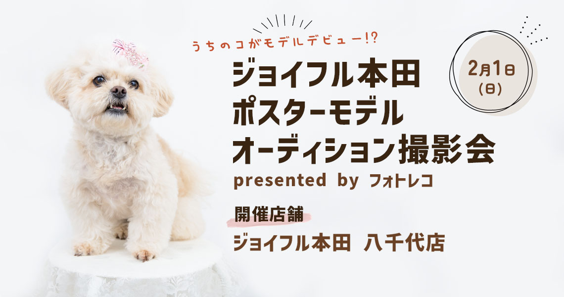 ジョイフル本田 ポスターモデルオーディション撮影会