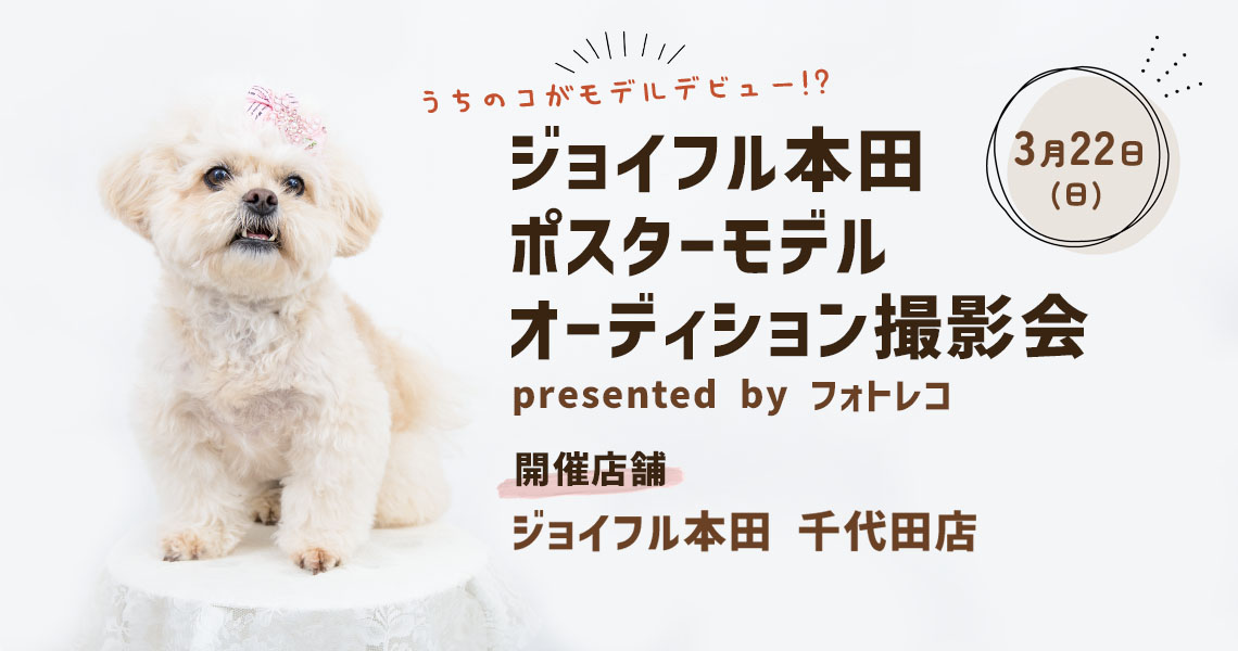 ジョイフル本田 ポスターモデルオーディション撮影会