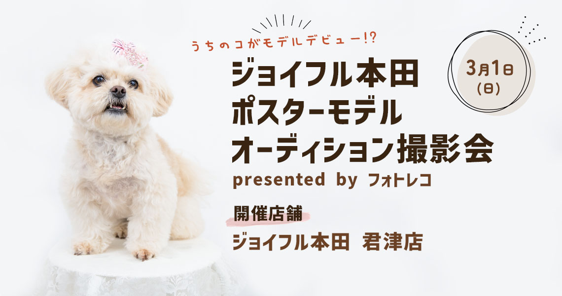 ジョイフル本田 ポスターモデルオーディション撮影会