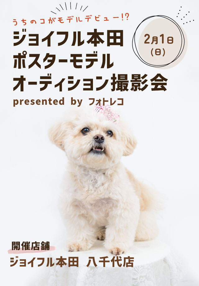 ジョイフル本田 ポスターモデルオーディション撮影会