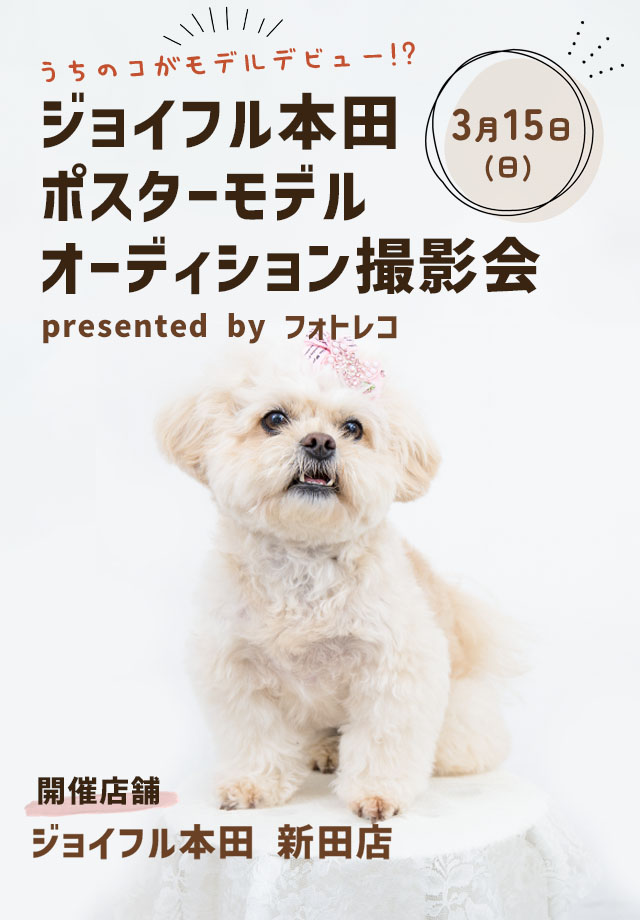 ジョイフル本田 ポスターモデルオーディション撮影会