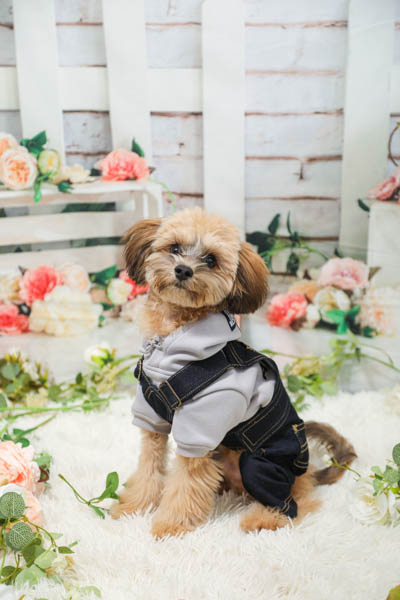 2025年12月14日サンデー八戸沼館店グランプリ リムくん