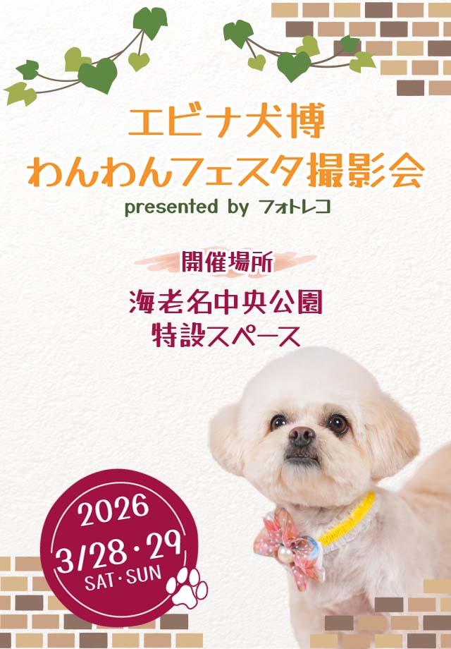 フォトレコペット撮影会 ポスターモデルオーディション撮影会