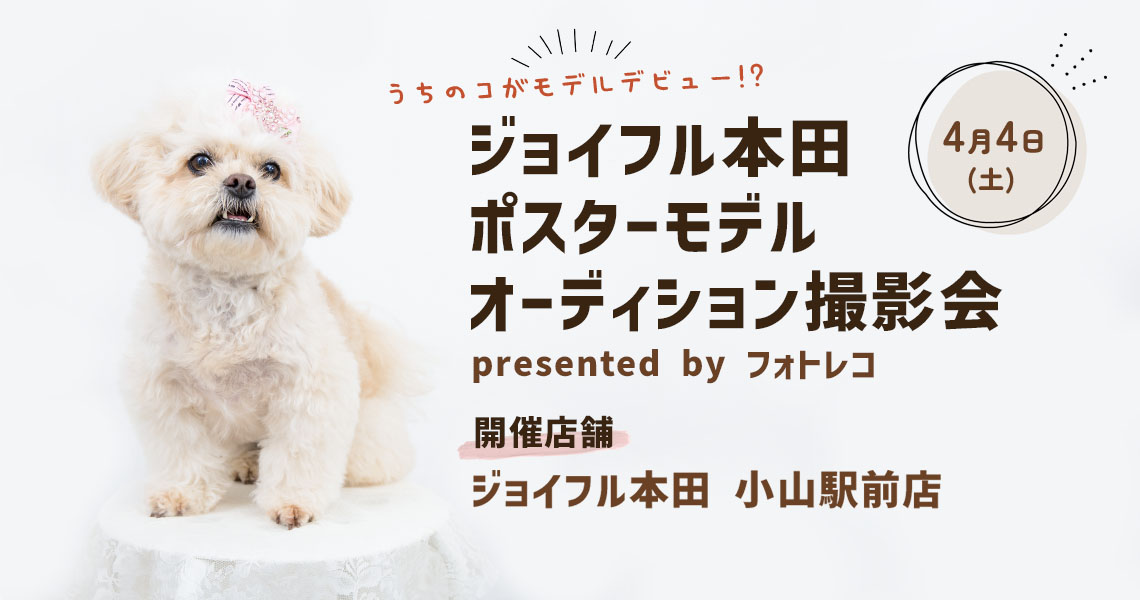 ジョイフル本田 ポスターモデルオーディション撮影会