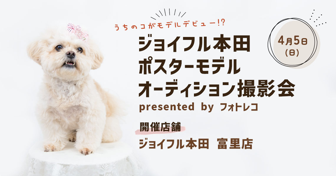 ジョイフル本田 ポスターモデルオーディション撮影会