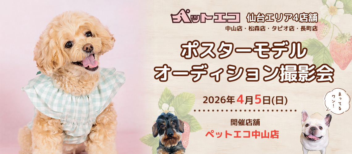 ペットエコ ポスターモデルオーディション撮影会