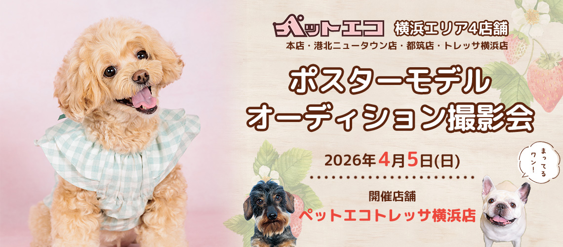 ペットエコ ポスターモデルオーディション撮影会