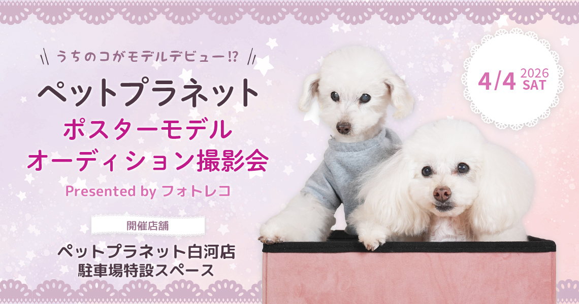 ペットプラネット ポスターモデルオーディション撮影会