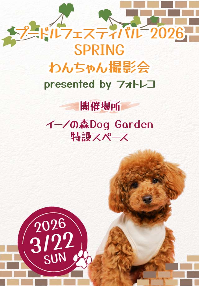 フォトレコペット撮影会 ポスターモデルオーディション撮影会