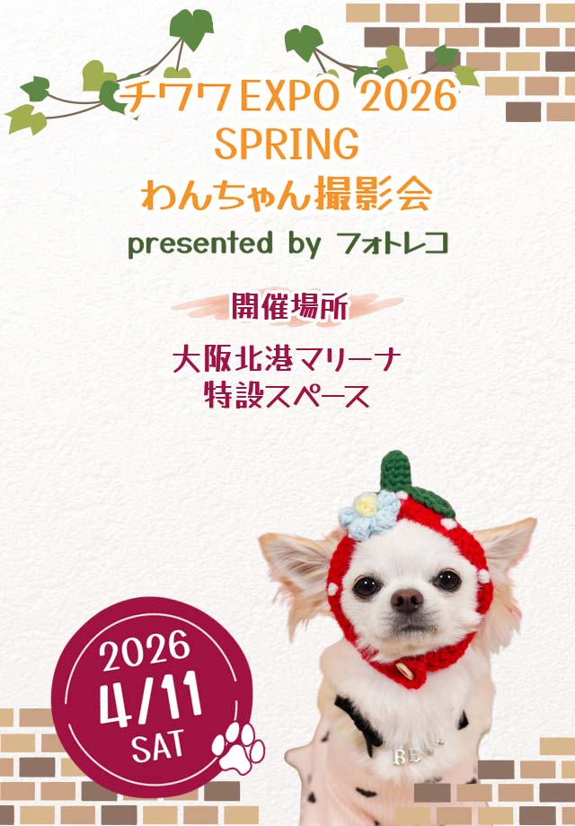 フォトレコペット撮影会 ポスターモデルオーディション撮影会