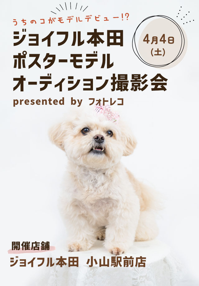 ジョイフル本田 ポスターモデルオーディション撮影会