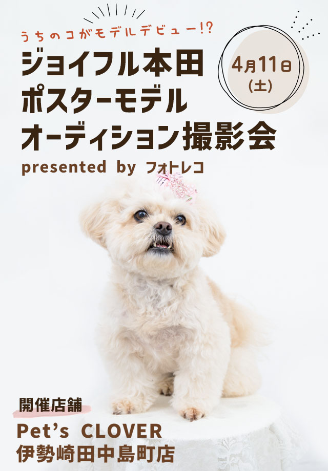 ジョイフル本田 ポスターモデルオーディション撮影会