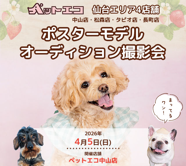 ペットエコ ポスターモデルオーディション撮影会