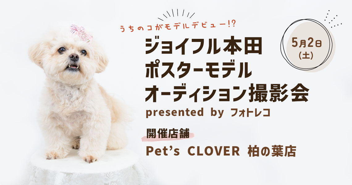 ジョイフル本田 ポスターモデルオーディション撮影会