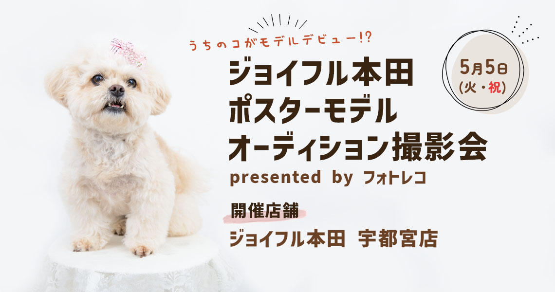 ジョイフル本田 ポスターモデルオーディション撮影会