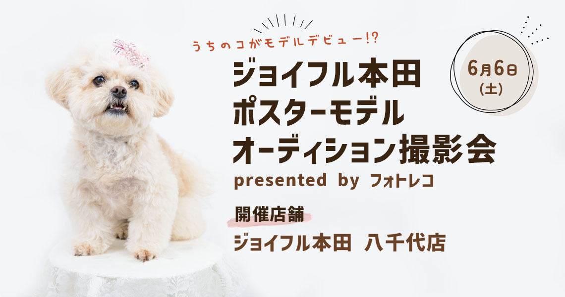 ジョイフル本田 ポスターモデルオーディション撮影会