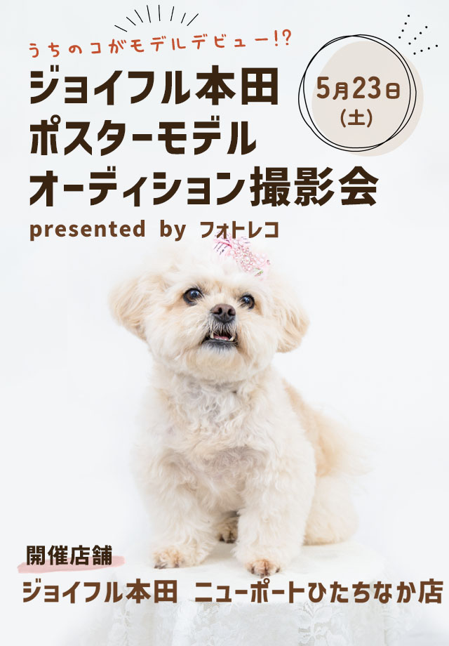 ジョイフル本田 ポスターモデルオーディション撮影会