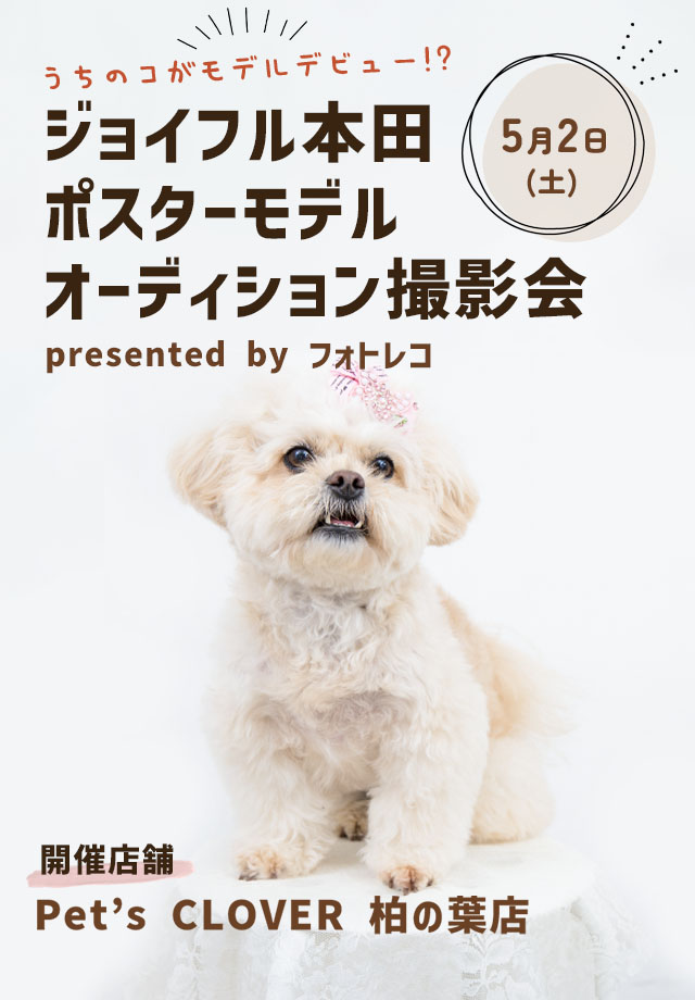 ジョイフル本田 ポスターモデルオーディション撮影会