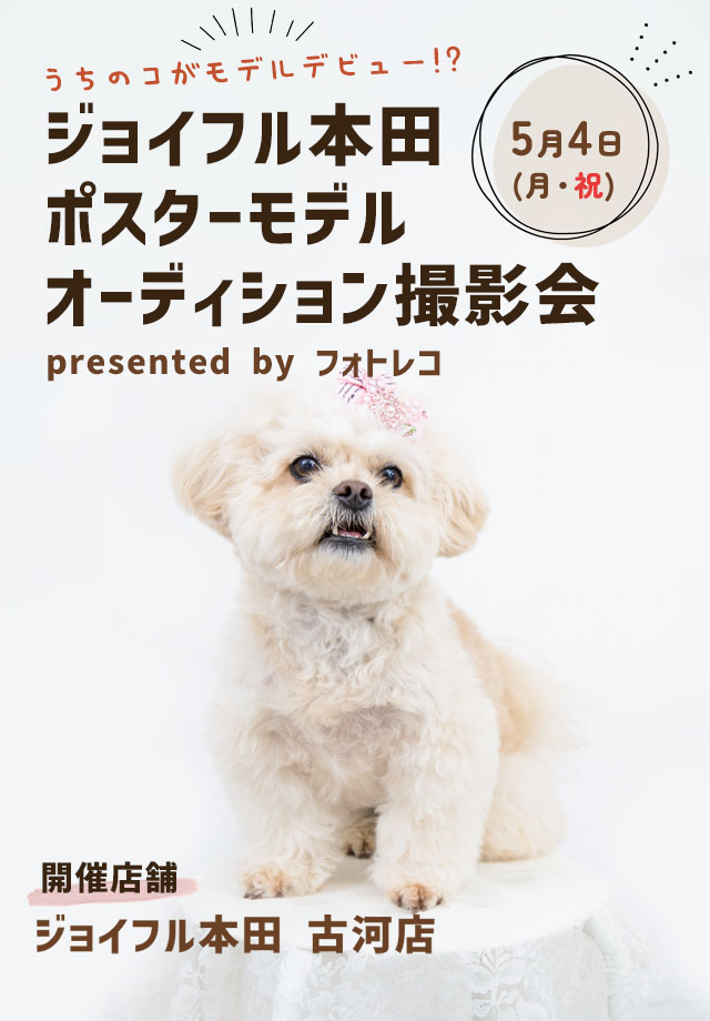 ジョイフル本田 ポスターモデルオーディション撮影会