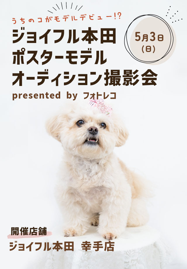 ジョイフル本田 ポスターモデルオーディション撮影会