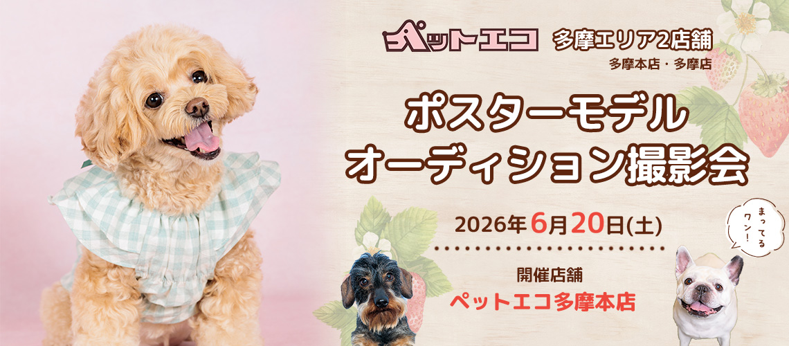ペットエコ ポスターモデルオーディション撮影会