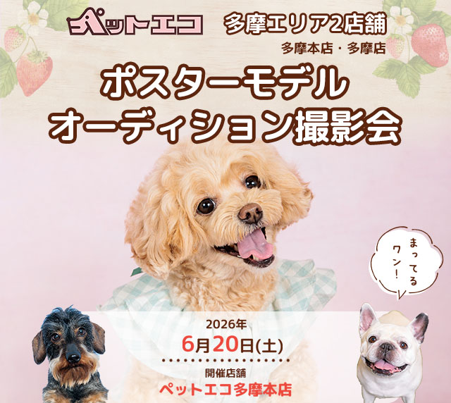 ペットエコ ポスターモデルオーディション撮影会