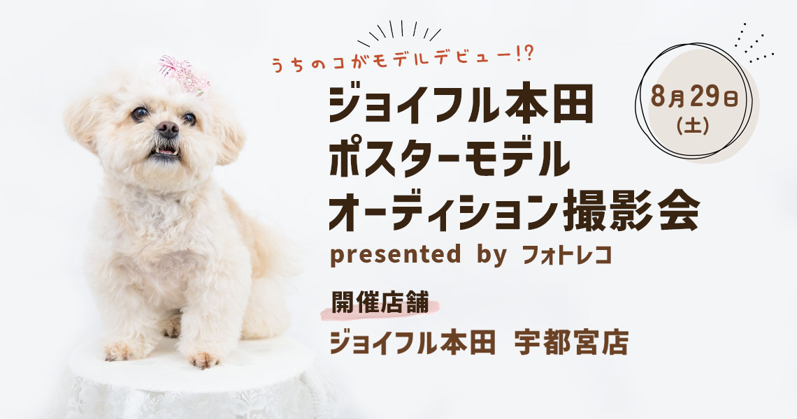 ジョイフル本田 ポスターモデルオーディション撮影会