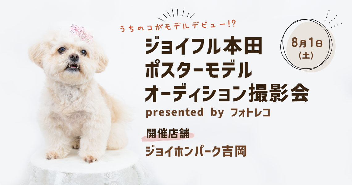 ジョイフル本田 ポスターモデルオーディション撮影会