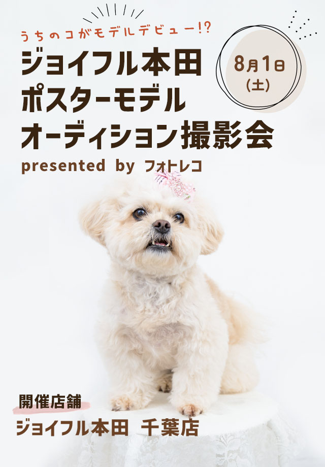 ジョイフル本田 ポスターモデルオーディション撮影会