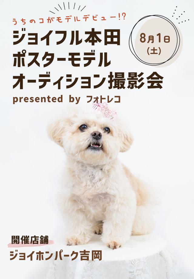 ジョイフル本田 ポスターモデルオーディション撮影会
