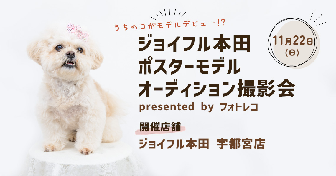 ジョイフル本田 ポスターモデルオーディション撮影会