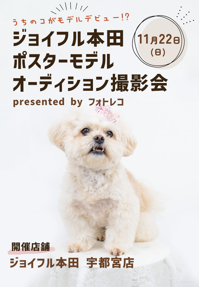 ジョイフル本田 ポスターモデルオーディション撮影会