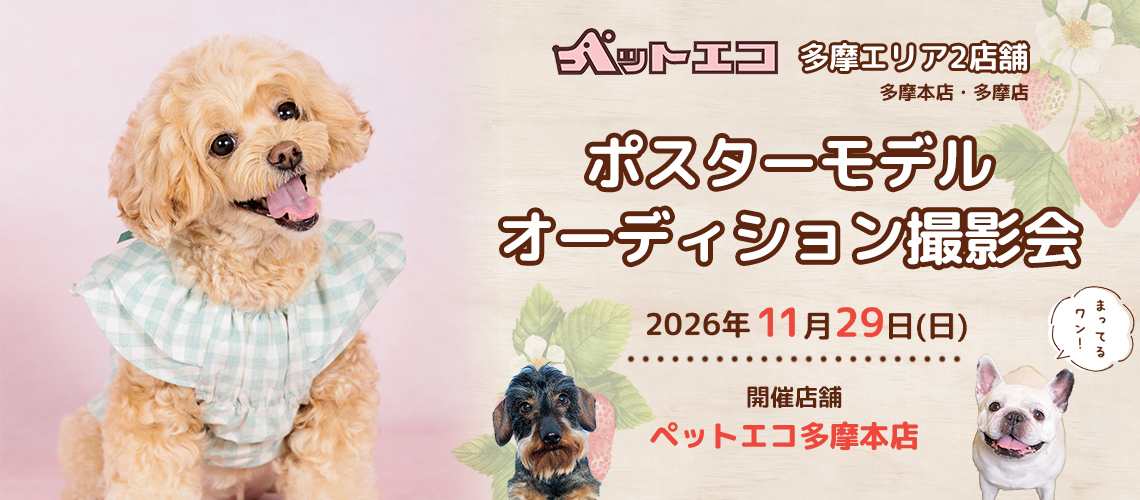 ペットエコ ポスターモデルオーディション撮影会