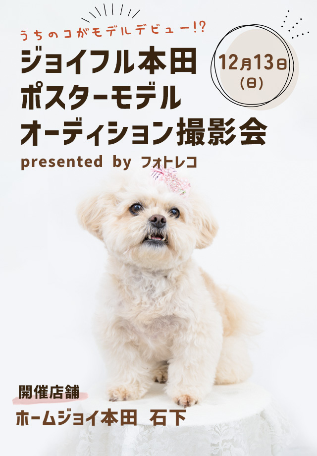 ジョイフル本田 ポスターモデルオーディション撮影会
