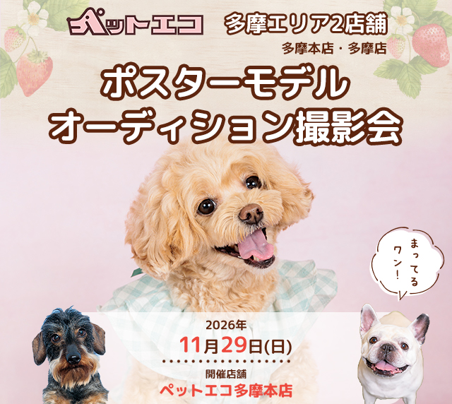 ペットエコ ポスターモデルオーディション撮影会